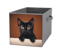 FHESDCW Boîte de rangement pliable en forme de chat noir avec poignées, cubes de rangement Oxford durables, 1 organiseur de placard pliable pour la maison, l'étagère, le bureau, les voyages