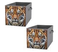 FHESDCW Fierce Tiger Lot de 2 boîtes de rangement pliables avec poignées, cubes de rangement Oxford durables, pour la maison, l'étagère, le bureau, les voyages