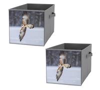 FHESDCW Flying White Eagle Lot de 2 boîtes de rangement pliables avec poignées, cubes de rangement Oxford durables pour la maison, l'étagère, le bureau, les voyages