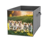 FHESDCW Happy Little Dog Boîte de rangement pliable avec poignées, cubes de rangement Oxford durable, 1 organiseur de placard pliable pour la maison, l'étagère, le bureau, les voyages