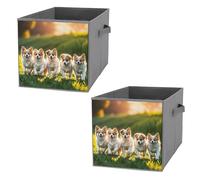 FHESDCW Happy Little Dog - Lot de 2 boîtes de rangement pliables avec poignées, cubes de rangement Oxford durables, pour la maison, l'étagère, le bureau, les voyages
