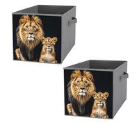 FHESDCW Lot de 2 boîtes de rangement pliables avec poignées, cubes de rangement Oxford durables, pour la maison, l'étagère, le bureau, les voyages