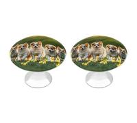 FHESDCW Lot de 2 boutons d'armoire en acier inoxydable avec vis, poignées de tiroir Happy Little Dog faciles à installer pour cuisine, salle de bain, commode