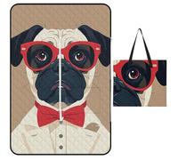 FHESDCW Old Fashion Couverture de pique-nique pour chien Khabby avec sac fourre-tout à fermeture éclair, imperméable, portable, tapis d'extérieur léger et pliable pour la plage, le camping, le parc