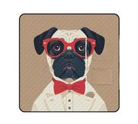 FHESDCW Old Fashion Couverture de pique-nique pour chien Khabby avec sac fourre-tout à fermeture éclair, imperméable, portable, tapis d'extérieur léger et pliable pour la plage, le camping, le parc