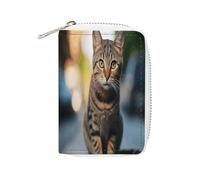 FHESDCW Pochette en cuir avec fermeture éclair et 20 emplacements pour cartes de débit, style élégant, 16 x 11,5 cm, Style :, 16x11.5cm