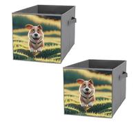 FHESDCW Real Maji Lot de 2 boîtes de rangement pliables avec poignées, cubes de rangement Oxford durables, pour la maison, l'étagère, le bureau, les voyages