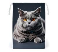 FHESDCW Sac en toile avec cordon de serrage « A Gray Cat Is Lying » - Réutilisables - Lavables - Pour cadeaux, bonbons, cosmétiques - 20 x 25 cm