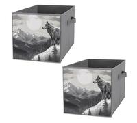 FHESDCW Snow Mountain - Lot de 2 boîtes de rangement pliables avec poignées, cubes de rangement Oxford durables, pour la maison, l'étagère, le bureau, les voyages