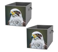 FHESDCW Spear Falcon, Lot de 2 boîtes de rangement pliables avec poignées, cubes de rangement Oxford durables, pour la maison, l'étagère, le bureau, les voyages