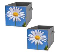 FHESDCW Spring Daisy - Lot de 2 boîtes de rangement pliables avec poignées, cubes de rangement Oxford durables, pour la maison, l'étagère, le bureau, les voyages