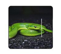 FHESDCW The Green Snake Couverture de pique-nique avec sac fourre-tout à fermeture éclair, imperméable, portable, légère et pliable, pour la plage, le camping, le parc, 200 x 200 cm