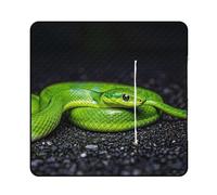 FHESDCW The Green Snake Couverture de pique-nique avec sac fourre-tout à fermeture éclair, imperméable, portable, légère et pliable, pour la plage, le camping, le parc, 150 x 150 cm