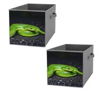 FHESDCW The Green Snake Lot de 2 boîtes de rangement pliables avec poignées, cubes de rangement Oxford durables, pour la maison, l'étagère, le bureau, les voyages