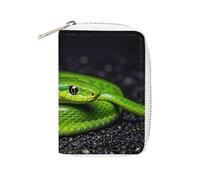 FHESDCW The Green Snake Porte-cartes en cuir avec 20 emplacements pour cartes de crédit pour homme et femme, petit sac à main avec fermeture éclair