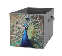 FHESDCW The Peacock Boîte de rangement pliable avec poignées, cubes de rangement Oxford durable, 1 organiseur de placard pliable pour la maison, l'étagère, le bureau, les voyages