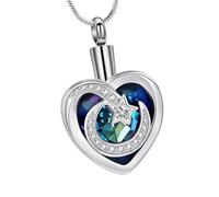 FHGSPQWM Collier funéraire en forme de cœur pour stockage de cendres pour animaux de compagnie Design en acier