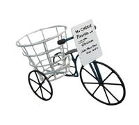 FHGSPQWM Pot de fleurs unique en forme de vélo en fer avec panier spacieux pour salon, jardin ou terrasse, utilisation intérieure ou extérieure, petit support de fleurs en fer