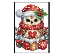 FHTech Store Carnet de croquis de forme spéciale de Noël 50 pages A5 avec broderie diamant pour adultes et enfants