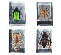 FHUILIJH 4 pcs véritable Insecte cerf-Volant scarabée spécimen résine Bureau Presse-Papier pour l'éducation Scientifique taxidermie spécimen articulé,A,74mm