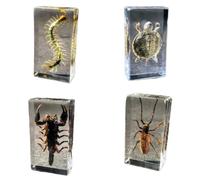 FHUILIJH 4 Pcs Véritable Insecte Spécimen Tortue Scorpions Mille-Pattes Coléoptères en Résine Presse-Papier Collection Science Classe Éducation Jouet,Clear,74mm