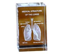 FHUILIJH Cadeaux pulmonaires en Cristal 3D pour Les Femmes Hommes, modèle pulmonaire 3D Cadeau de médecins en Cristal, Statue médicale pour l'obtention du diplôme en psychologie,Clear,10cm