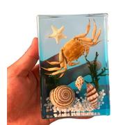 FHUILIJH Crabe taxidermique en résine - modèle éducatif de Crabe intégré spécimen - pour équipement d'expérience Biologique,Clear,14cm