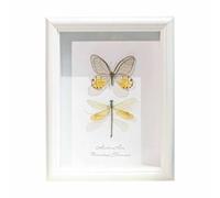 FHUILIJH Demoiselle Papillon spécimen - Papillon présentoir Cadre Papillon Artisanat - Cadeau d'anniversaire Parfait pour Petite Amie,Jaune,22cm