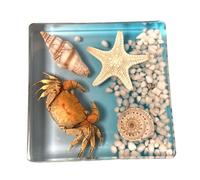 FHUILIJH Étoile de mer Rouge Crabe spécimens résine Artisanat - éducatif intégré spécimen Bureau Presse-Papier - pour l'enseignement Biologique,Clear,9cm