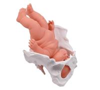 FHUILIJH Flesh,24cm, Modèle de Bassin pour démonstration de l'accouchement Modèle de Bassin féminin et bébé Simulateur de fœtus et d'accouchement pour l'éducation Scientifique Sage-Femme