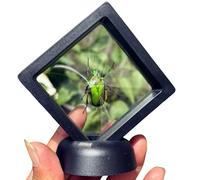 FHUILIJH Fleur Verte spécimen de Tortue dorée - modèle éducatif modèle de spécimen d'insecte - pour l'enseignement des élèves de l'école Primaire en Bas âge,Noir,8cm