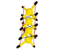 FHUILIJH Jaune,18cm, Modèle de Tension de la Structure Intégrale Anatomique Modèle de Colonne Vertébrale Démonstration Aides à la Tension Dynamique