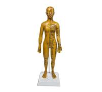 FHUILIJH Mannequin d'acupuncture méridien 40cm - Modèle d'acupuncture - Modèle Haute définition Modèle de Pratique de Massage,Female a,Soft