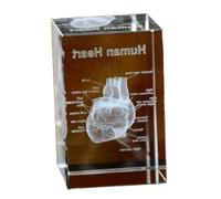 FHUILIJH Modèle d'anatomie du cœur de Cristal Humain 3D, modèle de cœur 3D, Cadeau de médecins en Cristal, Statue médicale pour l'obtention du diplôme en psychologie,Clear,10cm