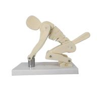 FHUILIJH Modèle de Simulation d'haltérophilie du Corps Humain - Modèle de Flexion et d'accroupissement - Modèle de Levage de Forme Physique pour Les Soins de santé du Bas du Dos,Blanc,25cm