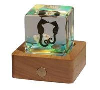 FHUILIJH Modèle de spécimen d'hippocampe - Modèle éducatif Modèle d'hippocampe - pour équipement d'expérience Biologique, équipement d'enseignement de collège,Clear,4cm