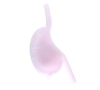 FHUILIJH Modèle d'estomac Creux Modèle d'enseignement de la résection du pli du Fond d'œil gastrique en Silicone pour Les Organes d'enseignement médical,A