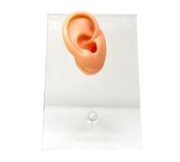 FHUILIJH Modèle d'oreille en Silicone Cristal - Modèle d'oreille en Silicone de Simulation - pour l'affichage, l'esquisse, l'enseignement, la Pratique du Projet,Right,9cm