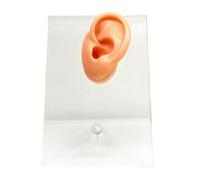 FHUILIJH Modèle d'oreille en Silicone Cristal - Modèle d'oreille en Silicone de Simulation - pour l'affichage, l'esquisse, l'enseignement, la Pratique du Projet,Left,9cm