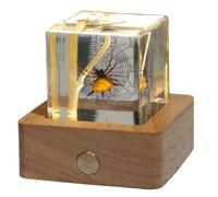 FHUILIJH Modèle éducatif Coin araignée Modèle spécimen pour équipement d'expérimentation Biologique, équipement d'enseignement de collège,Clear,4c