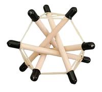 FHUILIJH Modèle Intégral de Tension, Modèle Holistique de Tension Pelvienne, pour Outil de Démonstration de l'Anatomie Dynamique,Flesh,12CM