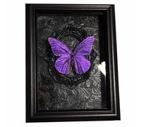 FHUILIJH Papillon Shadow Box spécimen Vintage Papillon spécimen Shadow Box Cadre Photo pour taxidermie Murale pièce Decor,Noir,22c