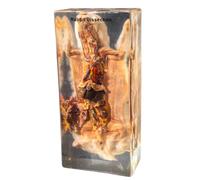 FHUILIJH Spécimen d'anatomie de Lapin Spécimen d'animal intégré Spécimen de résine Biologie Enseignement de l'éducation Animale Ornement Cadeau,Clear,25cm