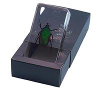 FHUILIJH Spécimen de coléoptère, scarabée taxidermique en résine, pour l'affichage de la cognition pédagogique des Enfants de Maternelle,C,79mm