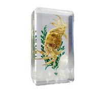 FHUILIJH Spécimen de Crabe Marin - Spécimen de Crabe en résine Transparente - Spécimen de Crabe éducatif pour l'enseignement de la biologie,Clear,7cm