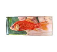 FHUILIJH Spécimen de Poisson - Résine intégrant des spécimens de Poisson Modèle - Ambre Artificiel Transparent Solide pour Une Conservation à Long Terme - pour l'enseignement,Clear,11cm