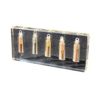 FHUILIJH Spécimens de Sol, Taxidermie, Spécimen de Sol, Presse-papiers, Utilisation pour l'enseignement des Sciences, Salle de Classe de biologie,Clear,14cm