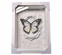 FHUILIJH Véritable encadré simulé décoration Murale Art préservé spécimens de Papillon pour Les Fans de Cadeau de taxidermie,Blanc,22cm
