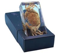 FHUILIJH Véritable modèle de spécimens de crabe - Modèle éducatif - Ambre artificiel - Spécimens de crabe en résine véritable - Pour les élèves du primaire et du collège popularisent l'affichage