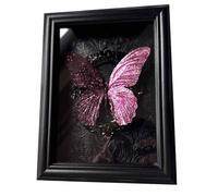 FHUILIJH Véritable Papillon encadré Authentique Papillon spécimens encadré Papillon taxidermie Chambre Decor,Noir,22c